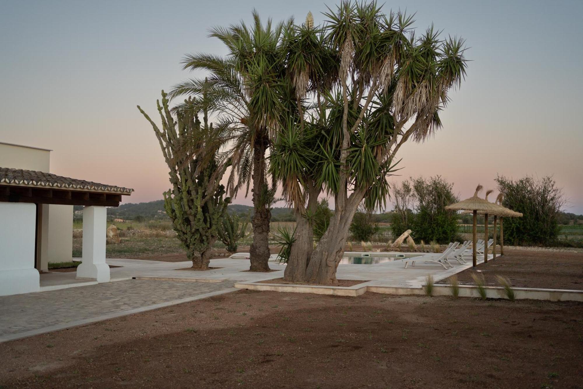 Vino Resort Son Amaret Son Macia  Bagian luar foto