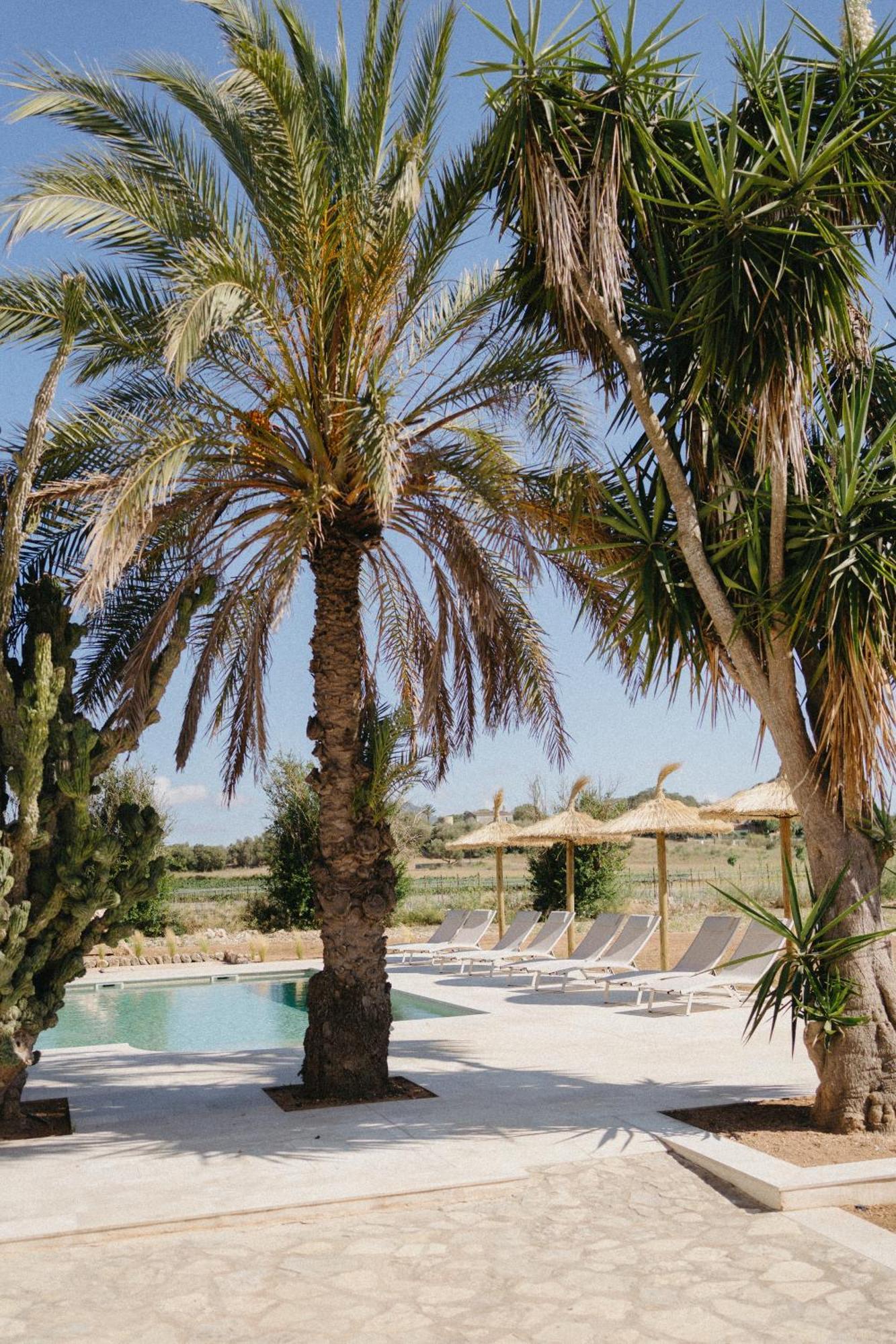 Vino Resort Son Amaret Son Macia  Bagian luar foto