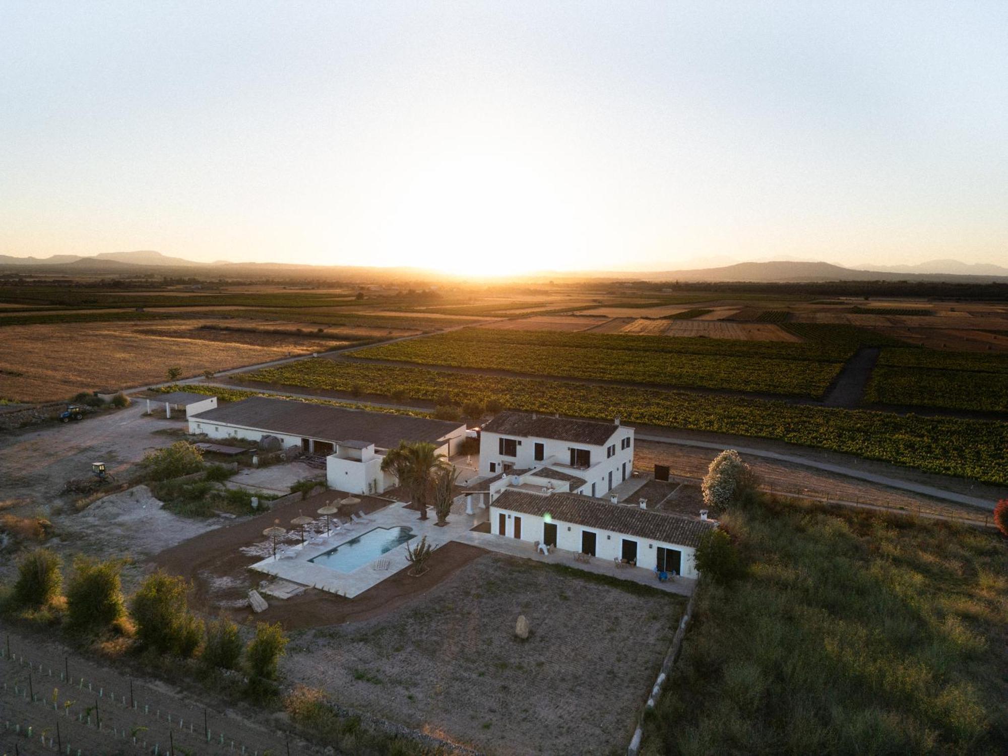 Vino Resort Son Amaret Son Macia  Bagian luar foto